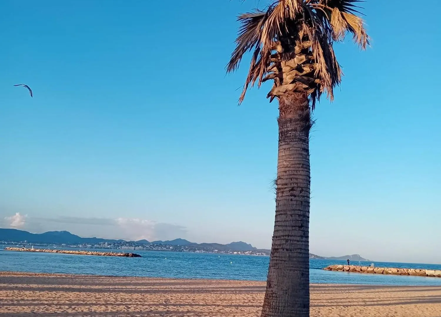 Apartment Large, Bright And Quiet Holiday Flat With Stunning Panoramic Sea Views Saint Aygulf